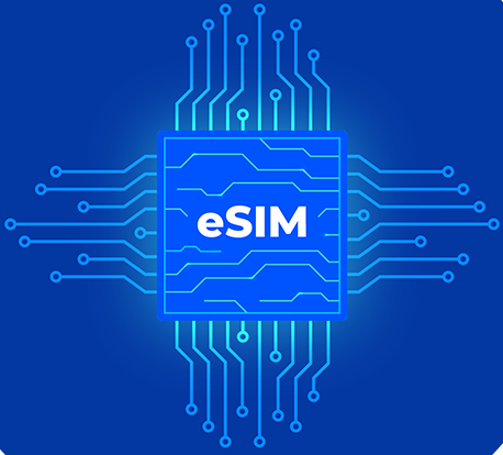 e-SIM Chip